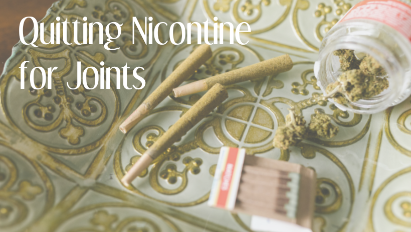 Top Tobacco alternatives for Spliffs: Herbal Healing