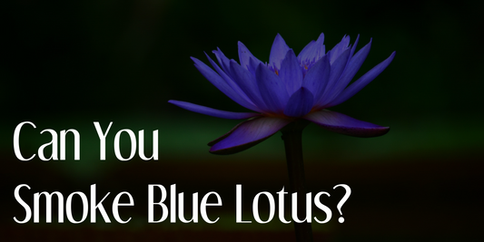 Can You Smoke Blue Lotus