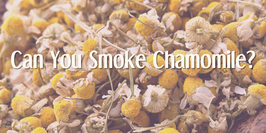 Can you smoke Chamomile; Pros and Cons