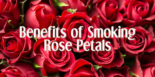 Benefits of Smoking Rose Petals
